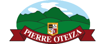 Logo Pierre Oteiza