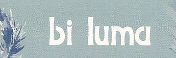 Logo Bi Luma